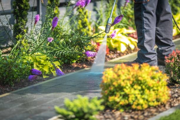 Best Driveway Cleaning and Restoration in Wickes, AR