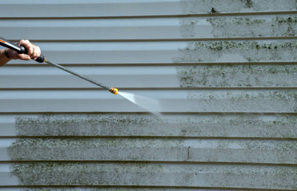 Best Deck and Patio Pressure Washing in Wickes, AR