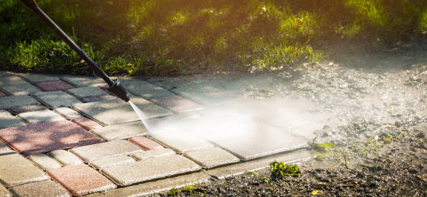 Best Roof Cleaning and Mildew Removal in Wickes, AR